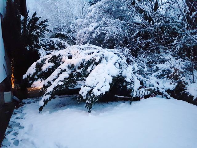 Heroldsberg | Foto: Sibilla Reichert