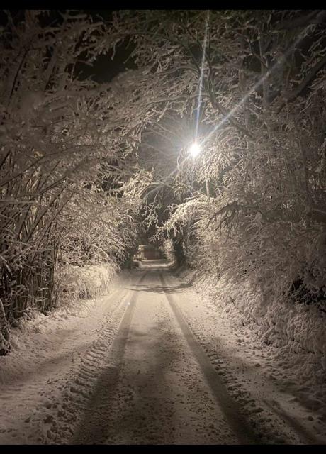 Oedenberg | Foto: Michl Gebaum