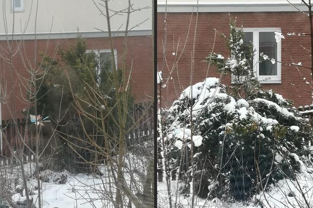 Hier ein Vorher-Nachher-Bild | Foto: Laura Prechtel