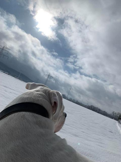 Foto: Nadine Naddl Weber