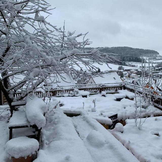 Foto: Natascha Sassik