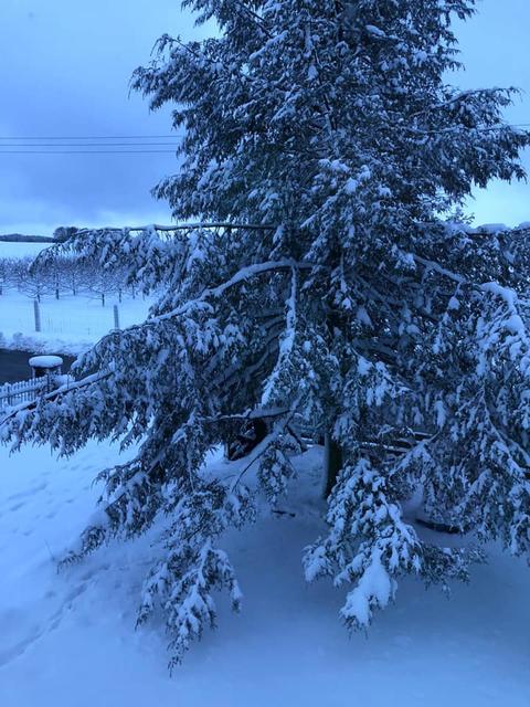 Sollenberg | Foto: Mel le Z