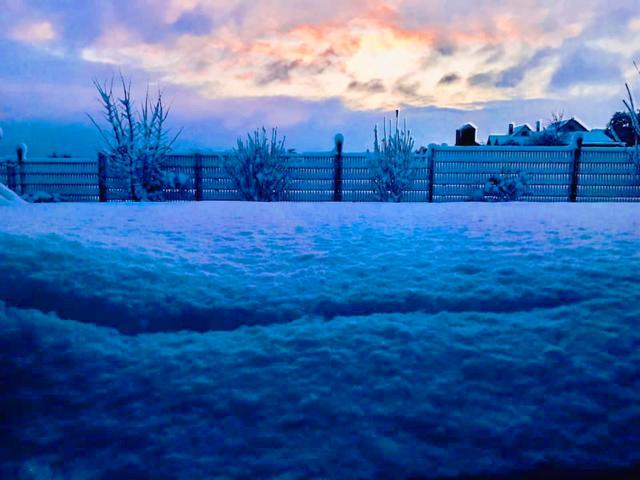 Blue | Foto: Katrin Hasselbach