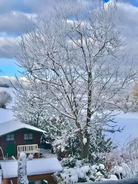 Großgeschaidt | Foto: Boya Marshall