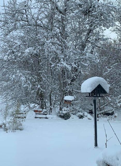 Foto: Andrea Regelein