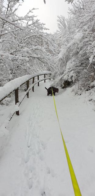 Foto: Michaela Chlebowski