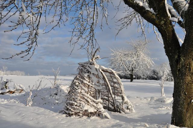 Winterzauber bei Heroldsberg | Foto: Susanne Weidinger