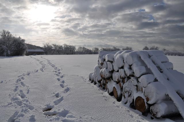 Spuren im Schnee bei Heroldsberg | Foto: Susanne Weidinger
