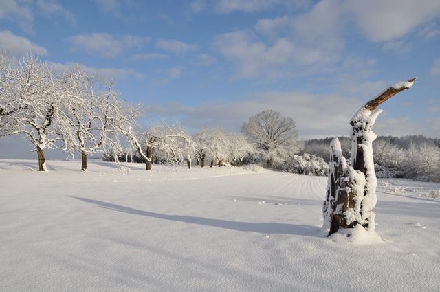 Kurzes Winter-Intermezzo bei Heroldsberg | Foto: Susanne Weidinger