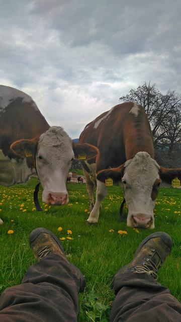 Foto: Julian Engelhard