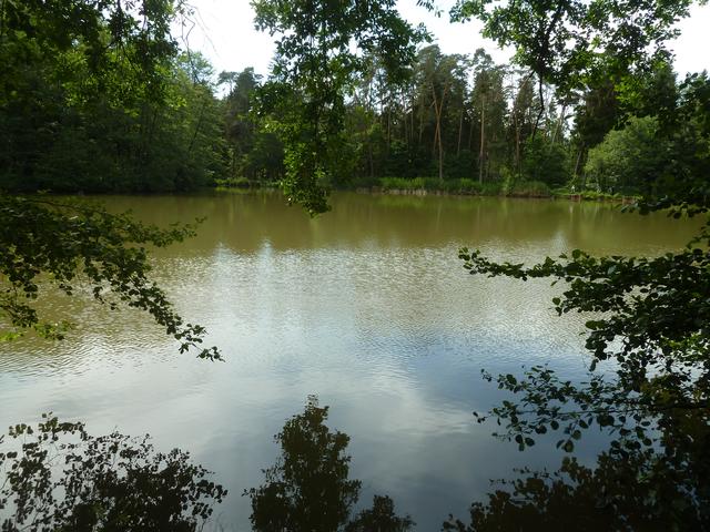 Die Sambachweiher bei Kalchreuth sind sehr idyllisch gelegen. | Foto: Ernst Bayerlein