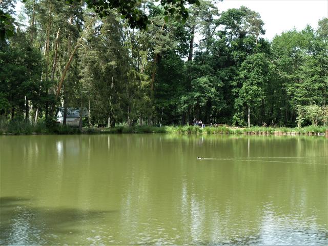 Die Sambachweiher bei Kalchreuth sind sehr idyllisch gelegen. | Foto: Ernst Bayerlein