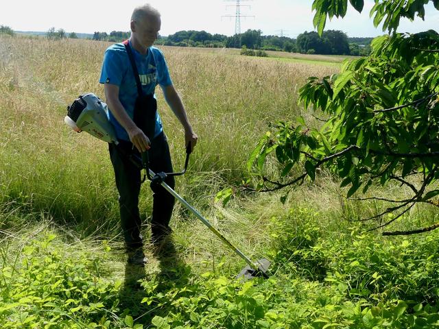 ... freimähen mit Motorunterstützung | Foto: Axel Gosoge