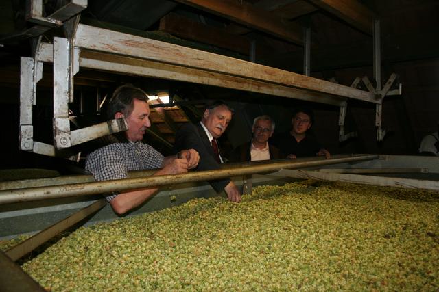 Am 17. September 2009 überprüft Irlinger die Qualität des Hopfens auf dem Hof von Landwirt Eckert in Herpersdorf. | Foto: wochenblatt