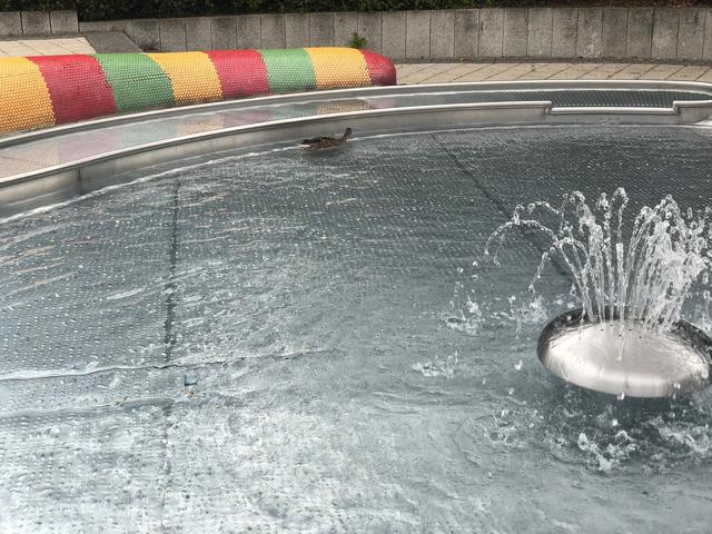 Vorschriftsmäßig immer im Uhrzeigersinn... | Foto: Christine Dollinger