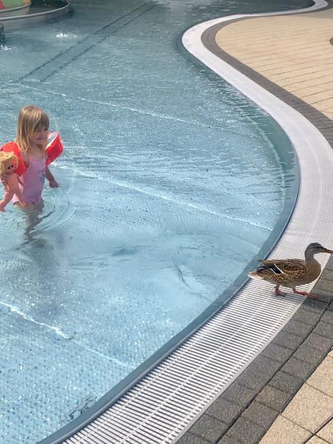 Mindestabstand gewahrt. | Foto: Christine Dollinger