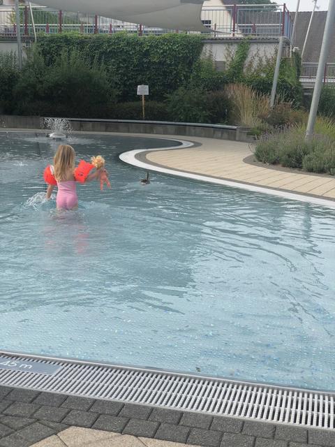 Frühschwimmer unter sich. | Foto: Christine Dollinger