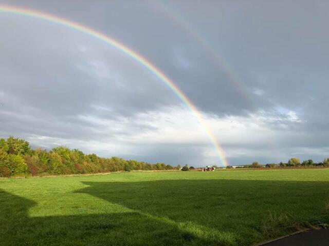 Foto: Kristin Wendhausen