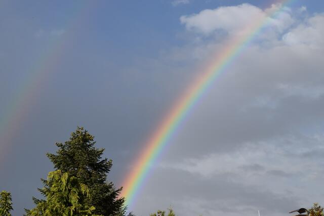 Foto: Michael Leißner