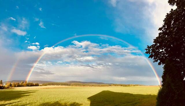 Foto: Dominik Berger