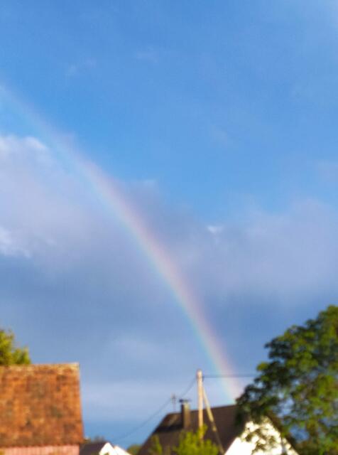 Foto: Christa Scheuring