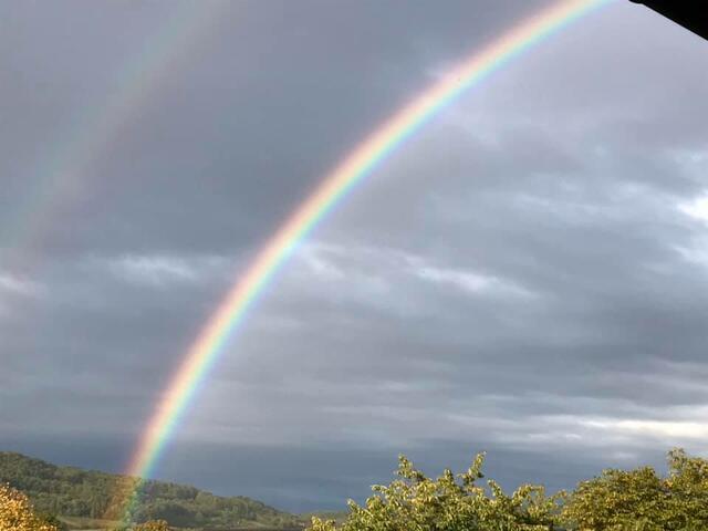 Foto: Melanie Müller