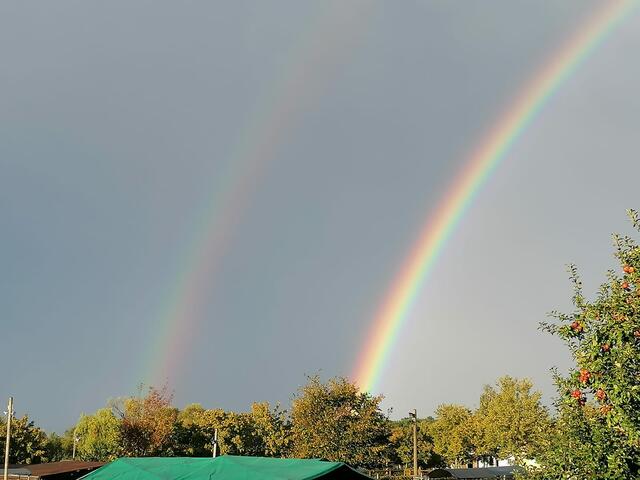 Foto: Cornelia Adlung