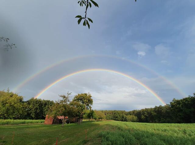 Foto: Birgit Günther