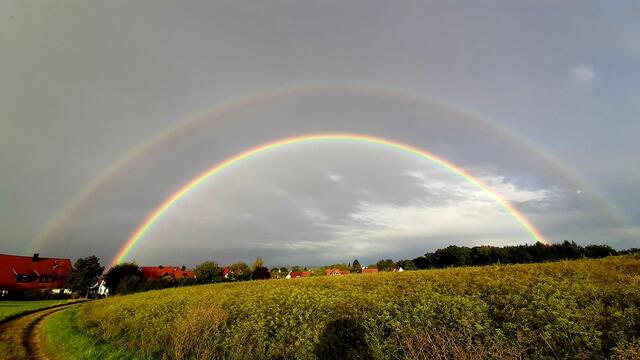 Foto: Steffi Sidiropoulou-Witzl