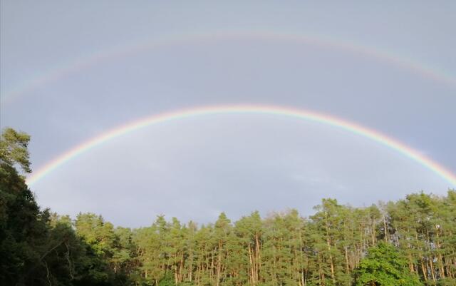 Foto: Susanne Hartung