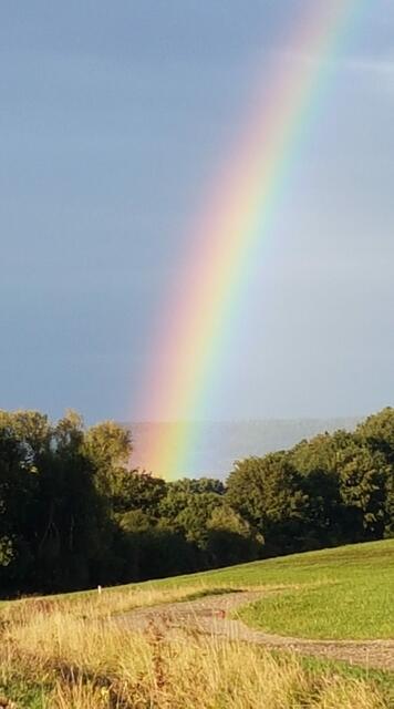 Foto: Helga Fronczek