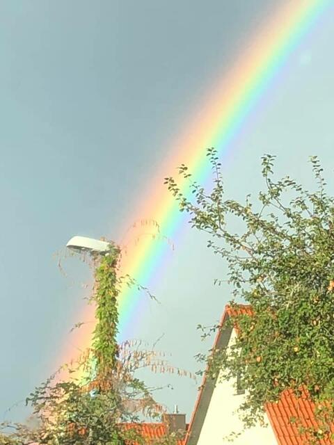 Foto: Laura Prechtel