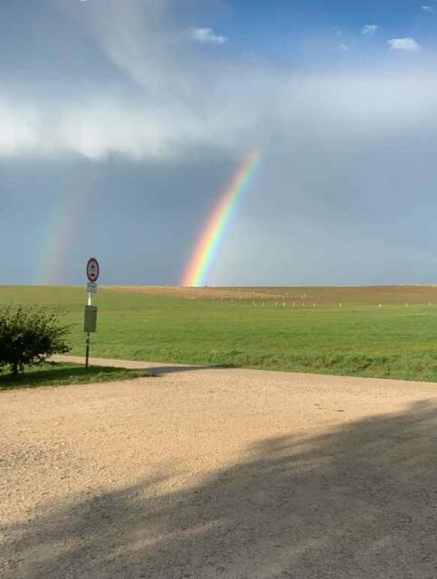 Foto: Franziska Fink