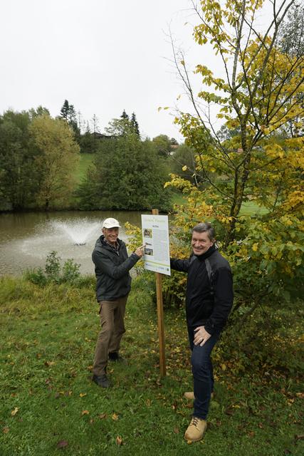 Am Loch 17 hat sich eine Nutria, auch Biberratte genannt, niedergelassen. 
 | Foto: J. Müller