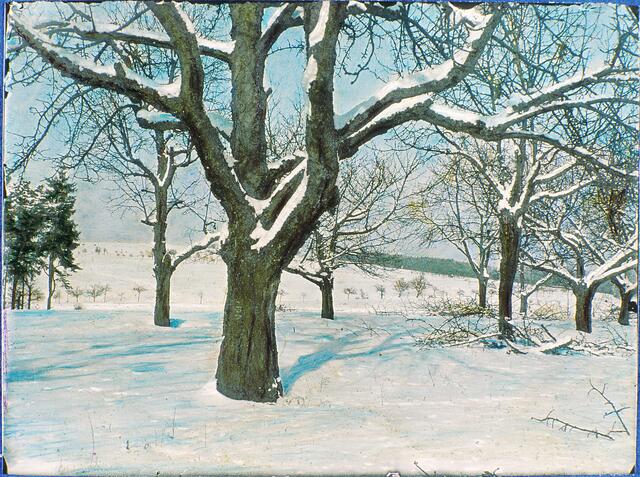 Blick nach Nordwesten Richtung Großgeschaidter Höhenrücken | Foto: Repro: Dieter Kaletsch