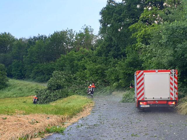 Bei Pommer blockierten umgestürzte Bäume Wege und Straßen. | Foto: Bernd Trummer