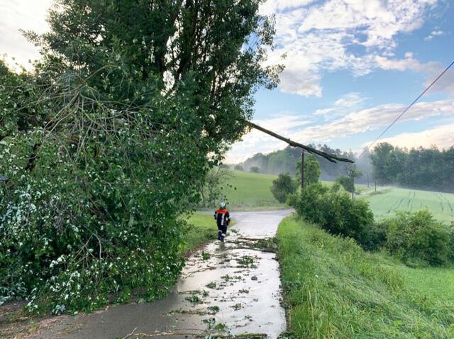Auch Leitungen waren gefährdet. | Foto: Bernd Trummer