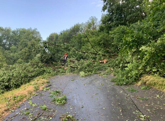 Umgestürzte Bäume bereiteten den Feuerwehrleuten viel Arbeit. | Foto: Bernd Trummer
