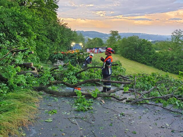 Die Feuerwehren Pommer und Ermreuth waren am Hetzles im Einsatz. | Foto: Privat