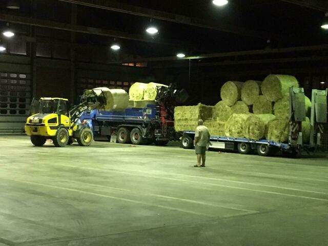 Runter geht es schneller als rauf. | Foto: Jürgen Hagen