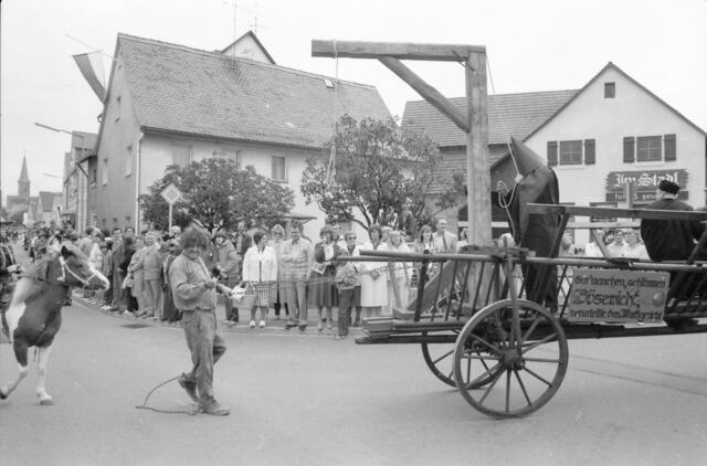 Foto: Bildarchiv wochenblatt