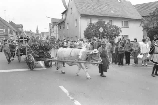 Foto: Bildarchiv wochenblatt