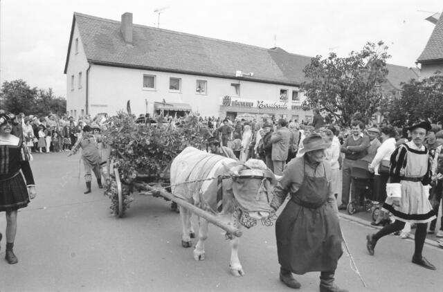 Foto: Bildarchiv wochenblatt