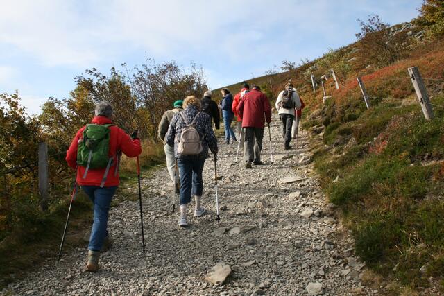 Herbstwanderung „Marche des Champignons” mit Aufstieg zum windumtosten Grand Ballon. | Foto: Ingrid Kassel