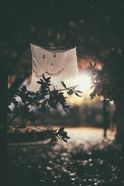 Foto: Manuela Salzinger