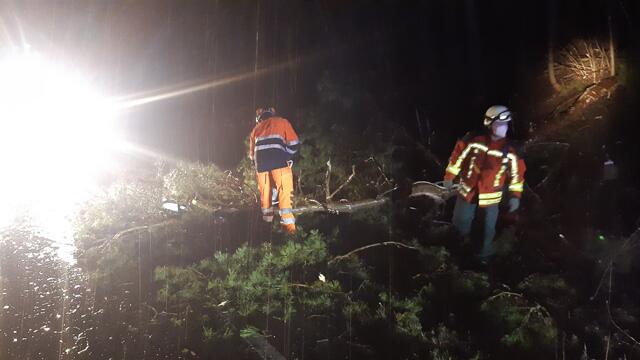 In der Nacht zum Montag fiel ein Baum auf die B2 bei Heroldsberg. | Foto: Feuerwehr Heroldsberg