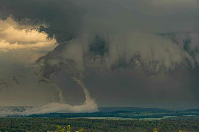 Foto: Heike Burkhard