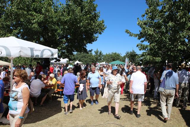 Foto: Andreas Unbehaun