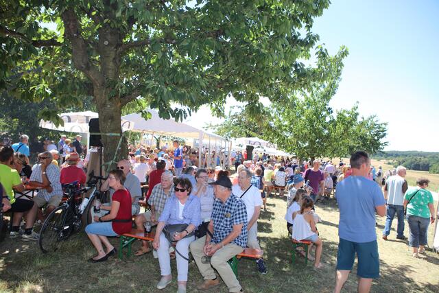 Foto: Andreas Unbehaun