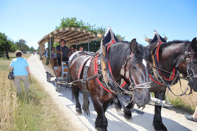 Foto: Andreas Unbehaun